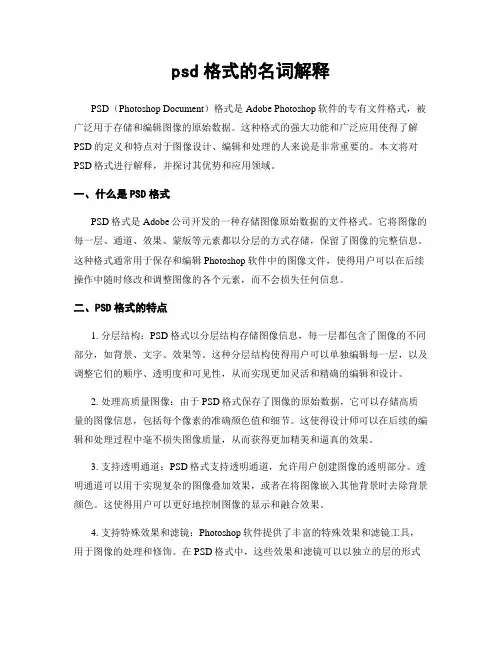 psd格式的名词解释