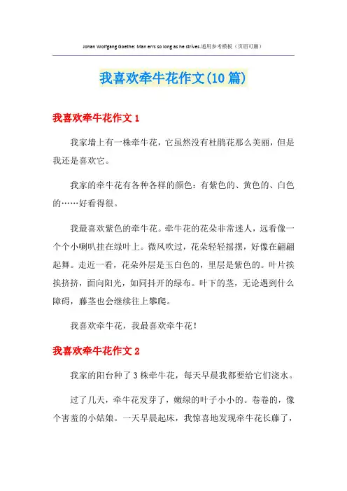 我喜欢牵牛花作文(10篇)