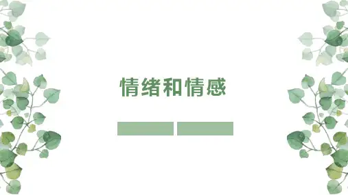 婴幼儿期情绪及其社会功能发育 情绪情感发育规律 情绪和情感