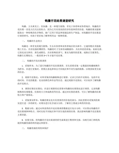 钩藤开花结果调查研究