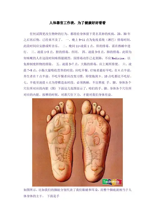 人体器官工作表