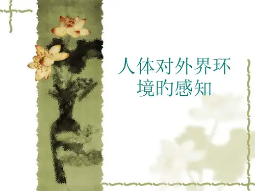 第六章第1节-人体对外界环境的感知2