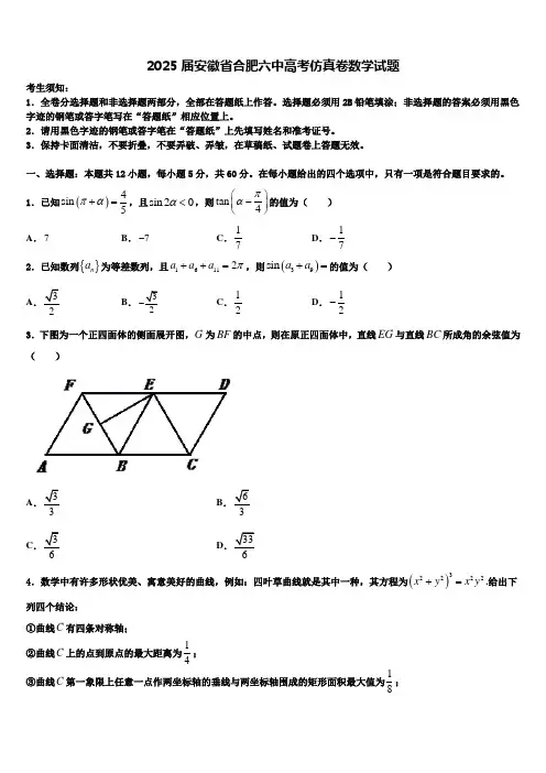 2025届安徽省合肥六中高考仿真卷数学试题含解析