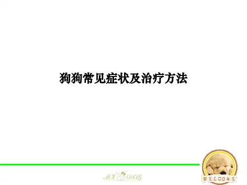 狗狗常见症状及治疗方法