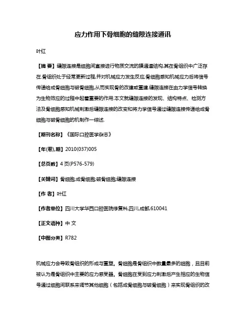 应力作用下骨细胞的缝隙连接通讯