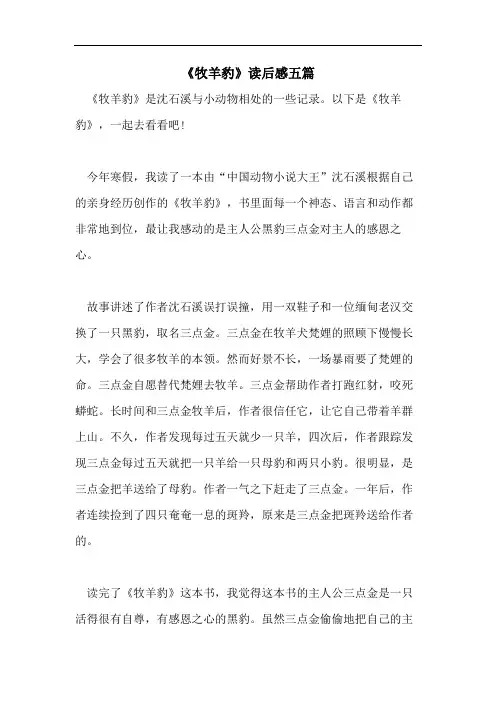 《牧羊豹》读后感五篇