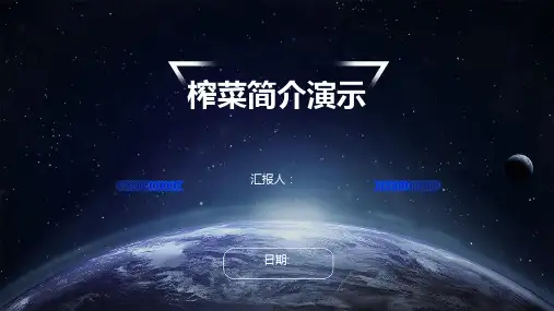 榨菜简介演示