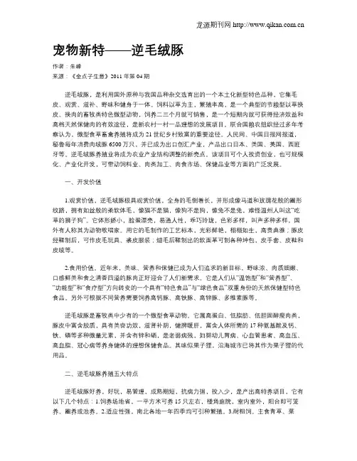宠物新特——逆毛绒豚