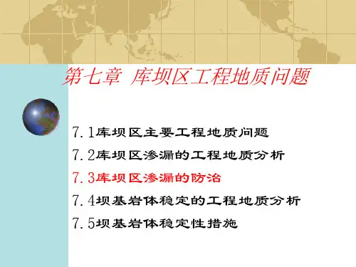 库坝区渗漏防治
