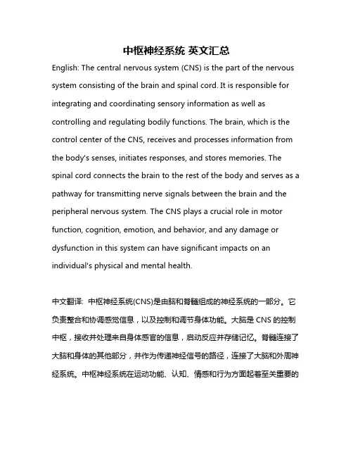 中枢神经系统 英文汇总