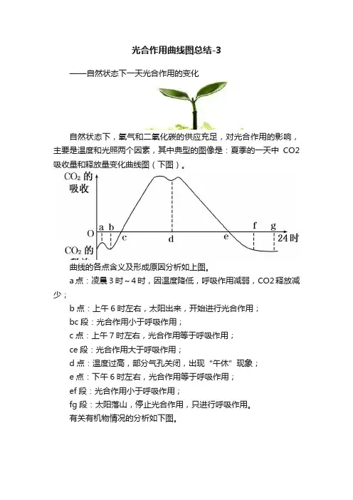 光合作用曲线图总结-3