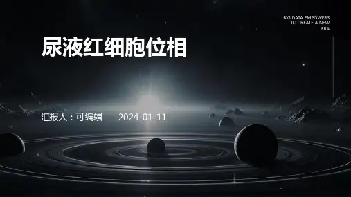 尿液红细胞位相ppt