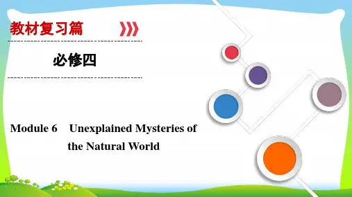 2021年大一轮高考总复习英语(外研版)课件：必修4+Module+6