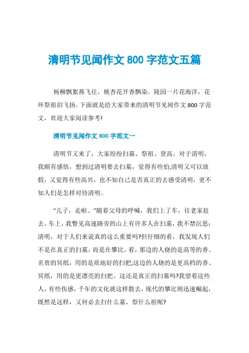 清明节见闻作文800字范文五篇