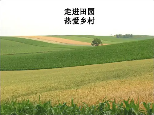 乡村风光 ppt课件