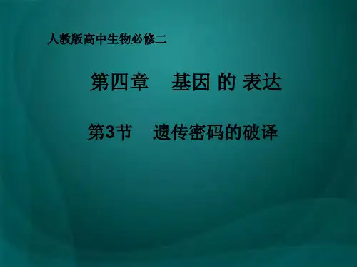 第3节 遗传密码的破译(选学)