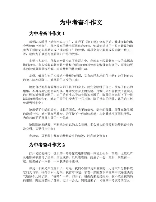 为中考奋斗作文