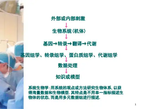 代谢组学ppt课件