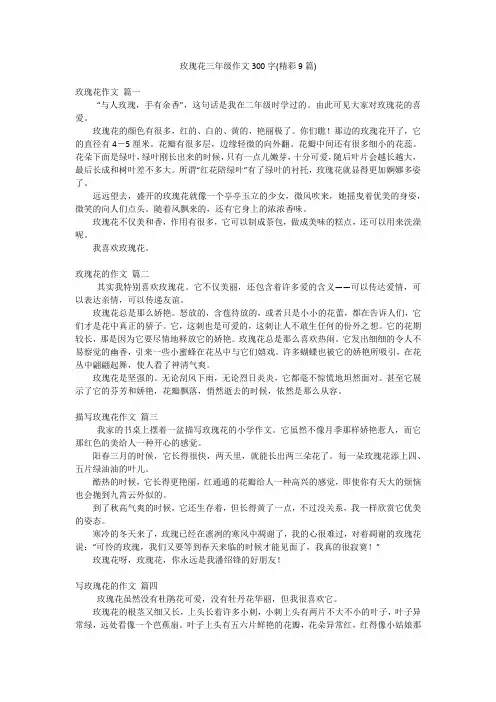 玫瑰花三年级作文300字(精彩9篇)