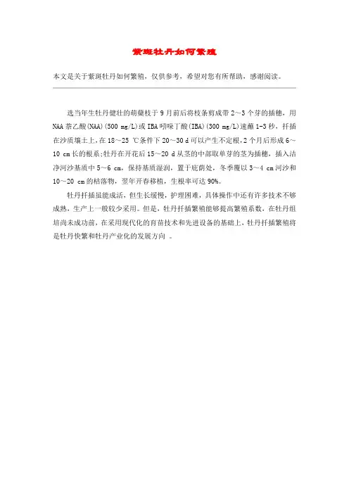 紫斑牡丹如何繁殖