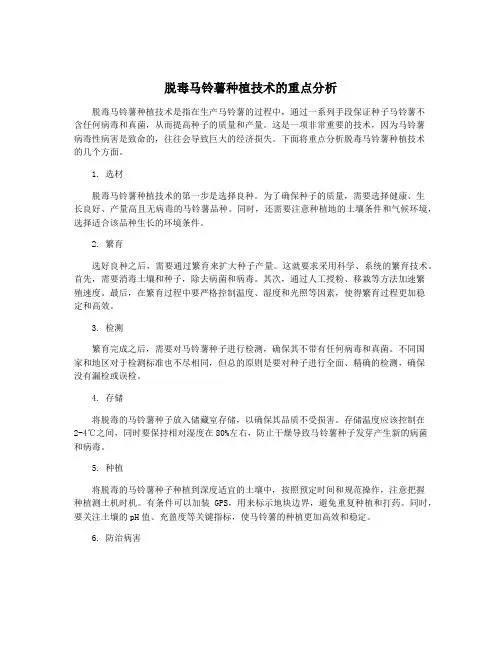 脱毒马铃薯种植技术的重点分析