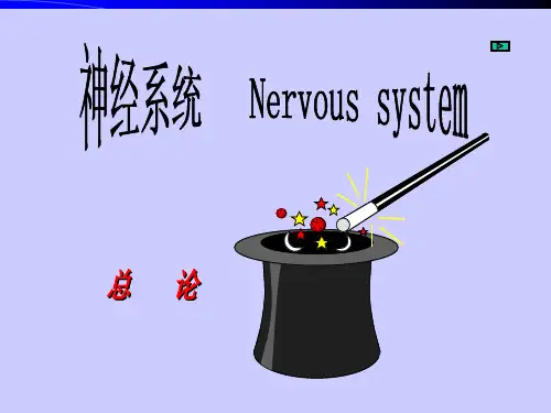 第一讲视觉障碍及眼肌麻痹PPT课件