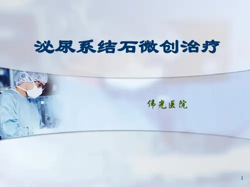 泌尿系结石微创治疗PPT课件