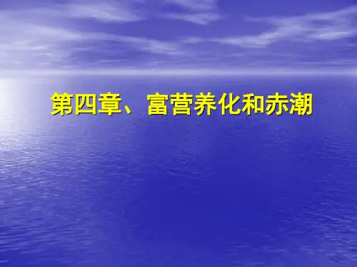 海洋环境化学 第6章 富营养化