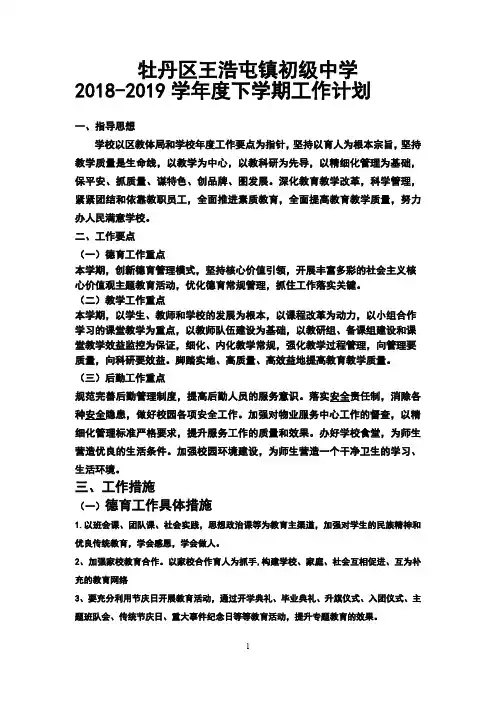 王浩屯中学2018—2019学年度下学期工作计划