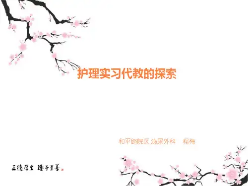 护理带教PPT课件