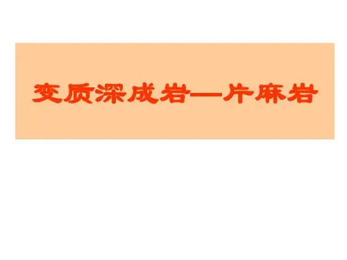 变质深成岩—片麻岩概要