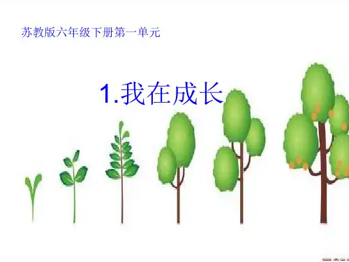 六年级科学下册课件-1 我在成长-苏教版(共14张PPT)