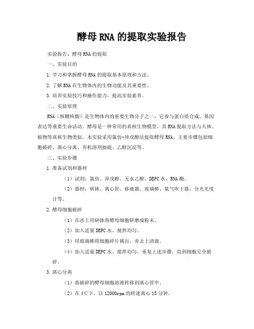 酵母RNA的提取实验报告