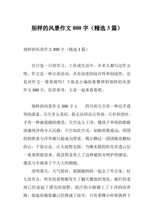 别样的风景作文800字(精选3篇)