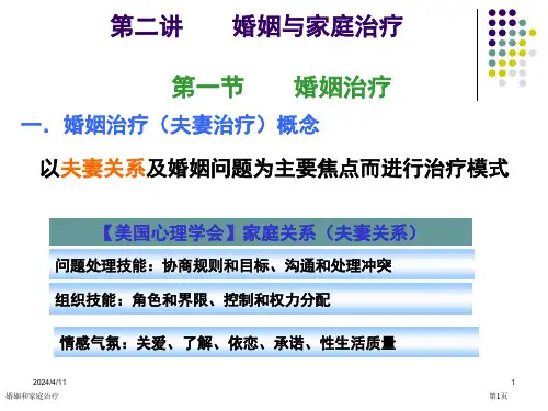 婚姻和家庭治疗专家讲座