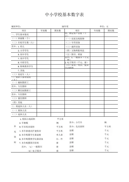 中小学专用会计报表