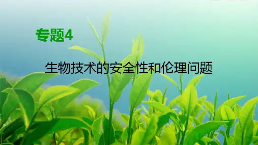 人教版 选修3 转基因生物的安全性 课件 (48张)