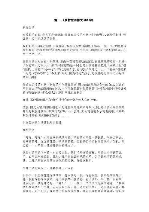 我的乡村生活作文600字