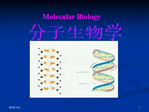 分子生物学绪论-PPT精选文档30页