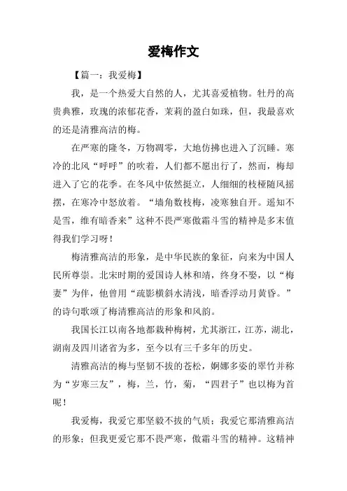 爱梅作文_