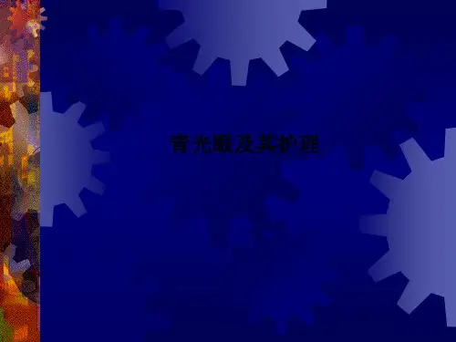 青光眼及其护理PPT课件