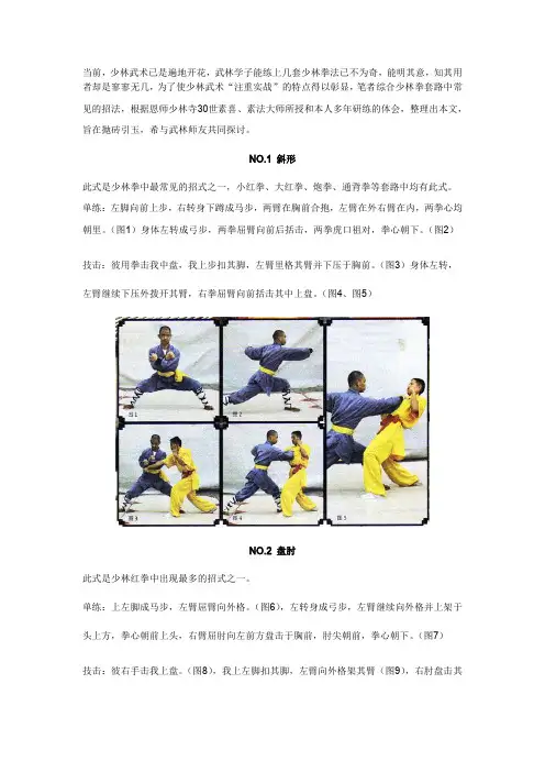 少林拳技法三十六式——耿军