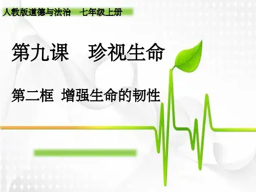 增强生命的韧性ppt课件