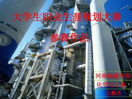 职业规划大赛作品