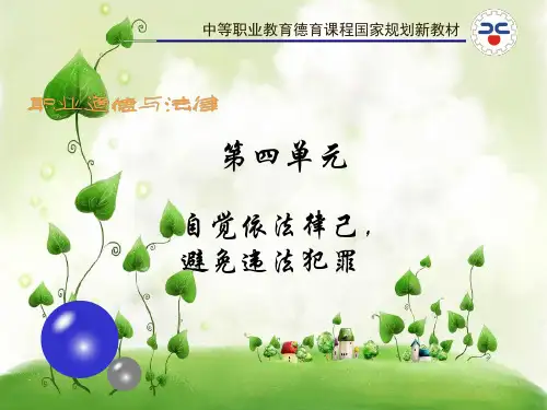 避免误入犯罪歧途课件