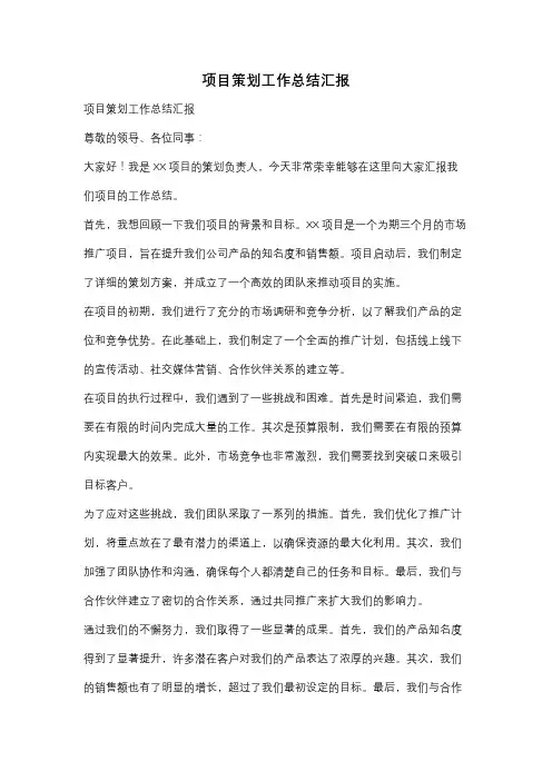 项目策划工作总结汇报