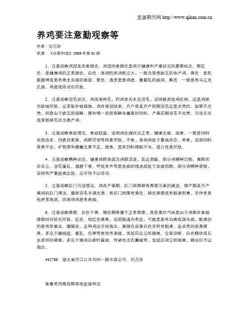 养鸡要注意勤观察等