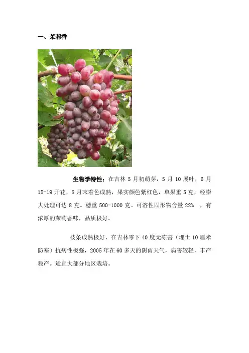 葡萄品种介绍