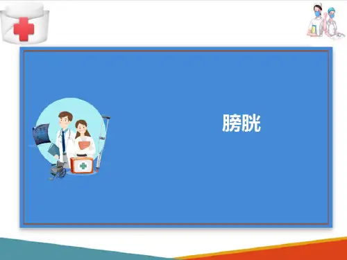 泌尿系统—输尿管、膀胱和尿道(人体结构与功能课件)