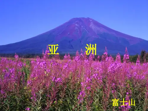 第六章《认识大洲》复习课件 (湘教版七年级下册)(共43张PPT)